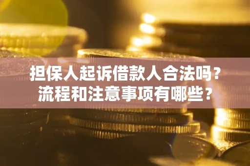 武汉担保人起诉借款人合法吗？流程和注意事项有哪些？