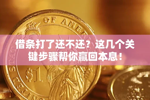 武汉借条打了还不还？这几个关键步骤帮你赢回本息！