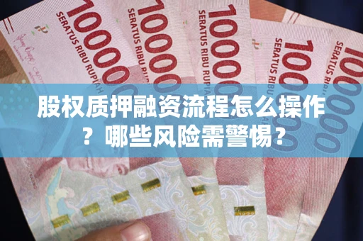 武汉股权质押融资流程怎么操作？哪些风险需警惕？
