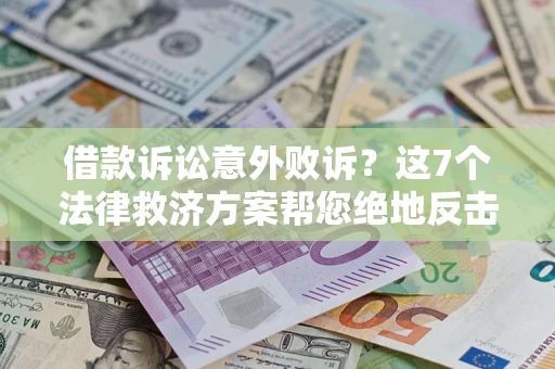 武汉借款诉讼意外败诉？这7个法律救济方案帮您绝地反击！