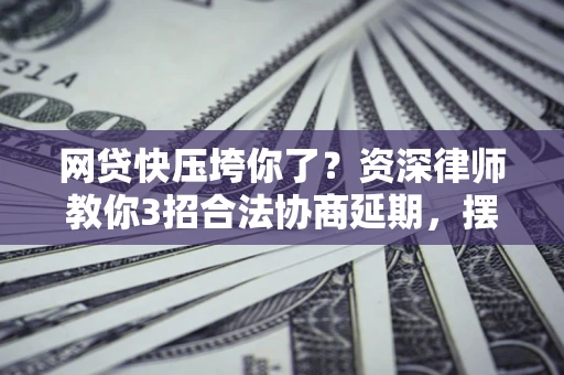 武汉网贷快压垮你了？资深律师教你3招合法协商延期，摆脱暴力催收！