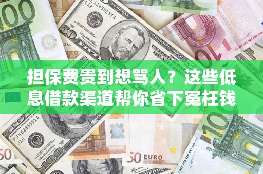 武汉担保费贵到想骂人？这些低息借款渠道帮你省下冤枉钱