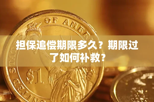 武汉担保追偿期限多久？期限过了如何补救？