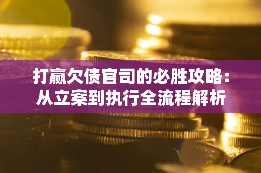 武汉打赢欠债官司的必胜攻略：从立案到执行全流程解析