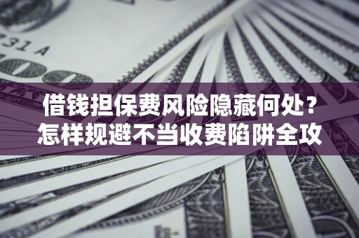 武汉借钱担保费风险隐藏何处？怎样规避不当收费陷阱全攻略！