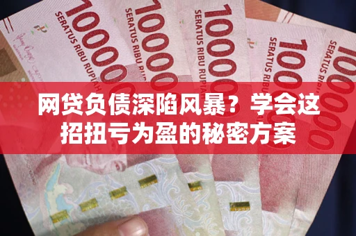 武汉网贷负债深陷风暴？学会这招扭亏为盈的秘密方案
